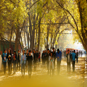 成果名称：新疆职业院校系统构建社会主义核心价值观“433”教育实践模式的探索